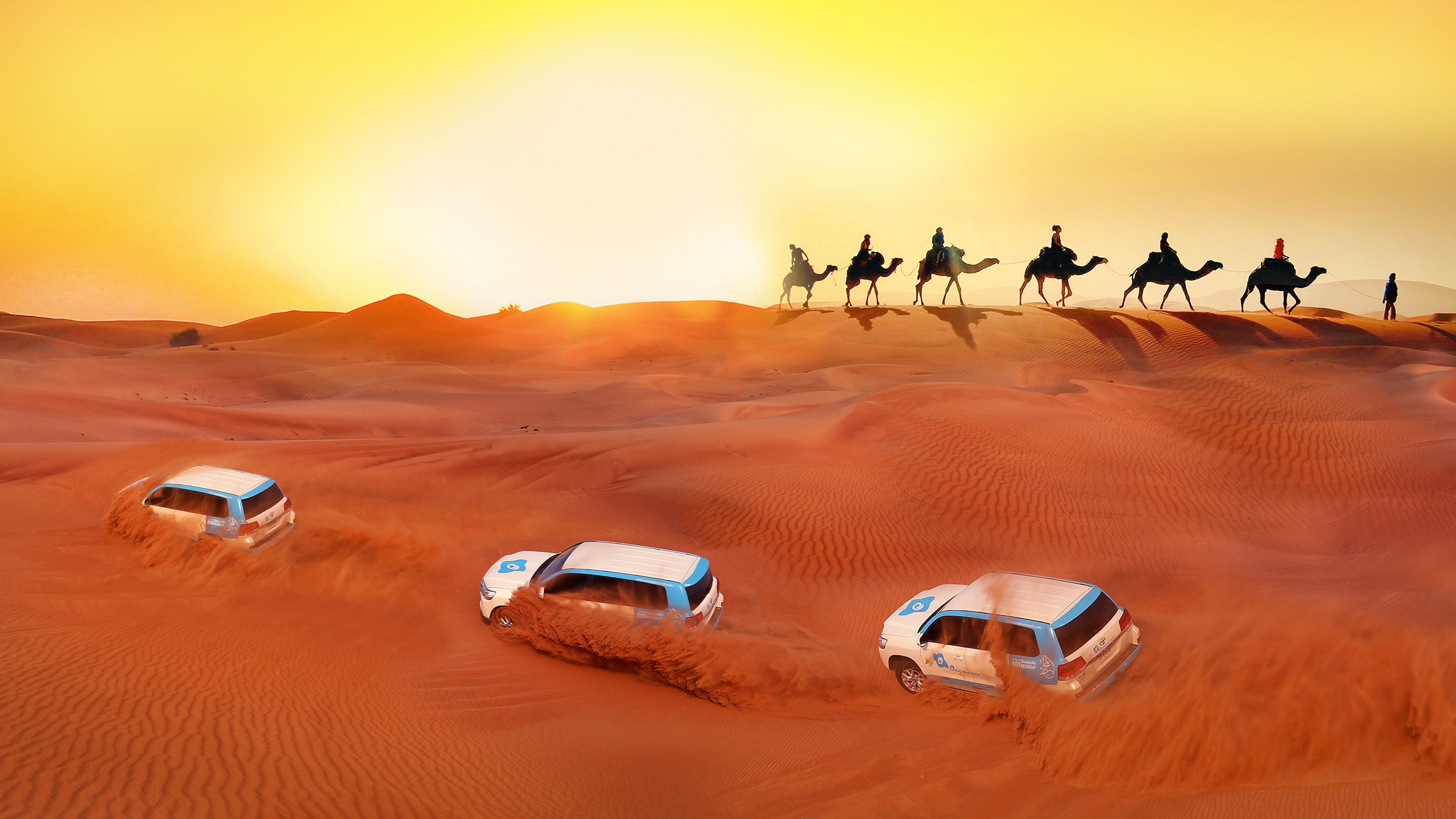 Dubai: Overnight Desert Safari, Camels, Dinner, & Stargazing Trip