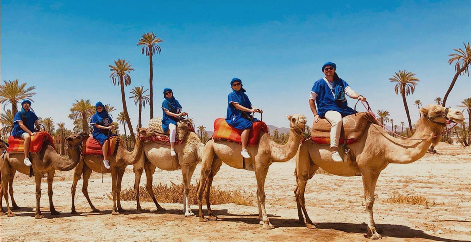 Marrakesh: Camel Ride in the Oasis Palmeraie