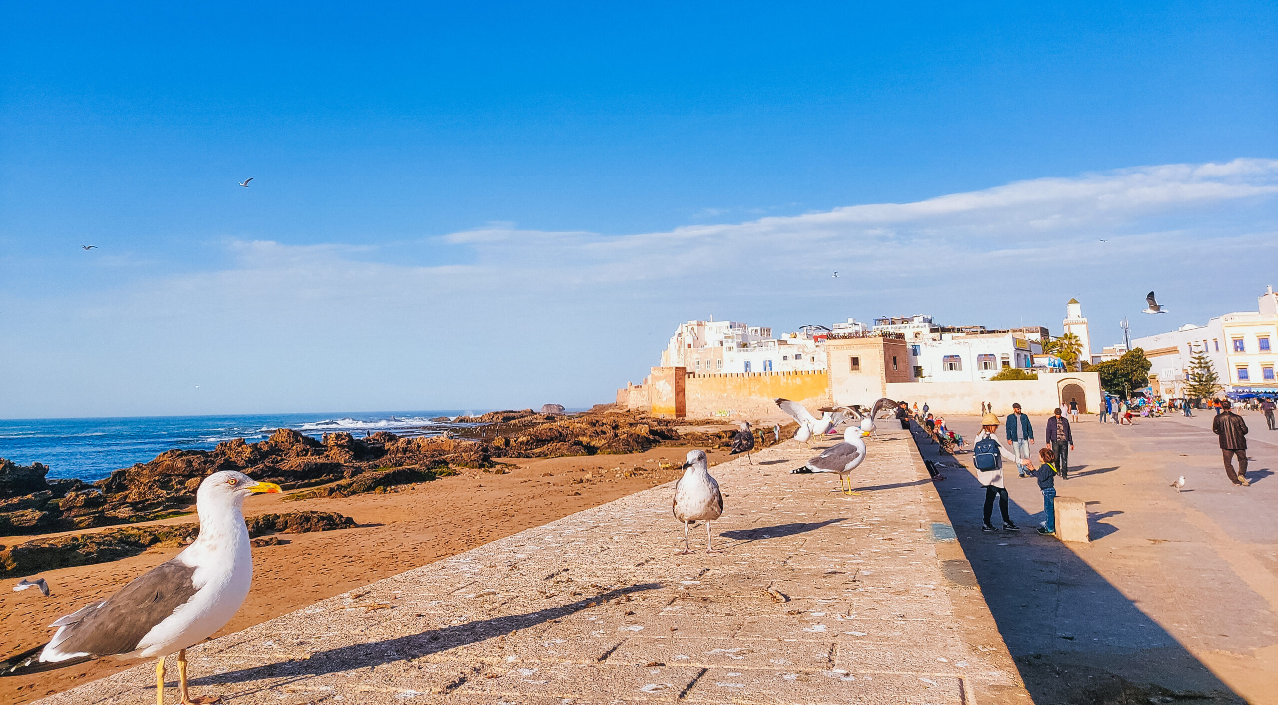 Morocco: Essaouira Full-Day Trip