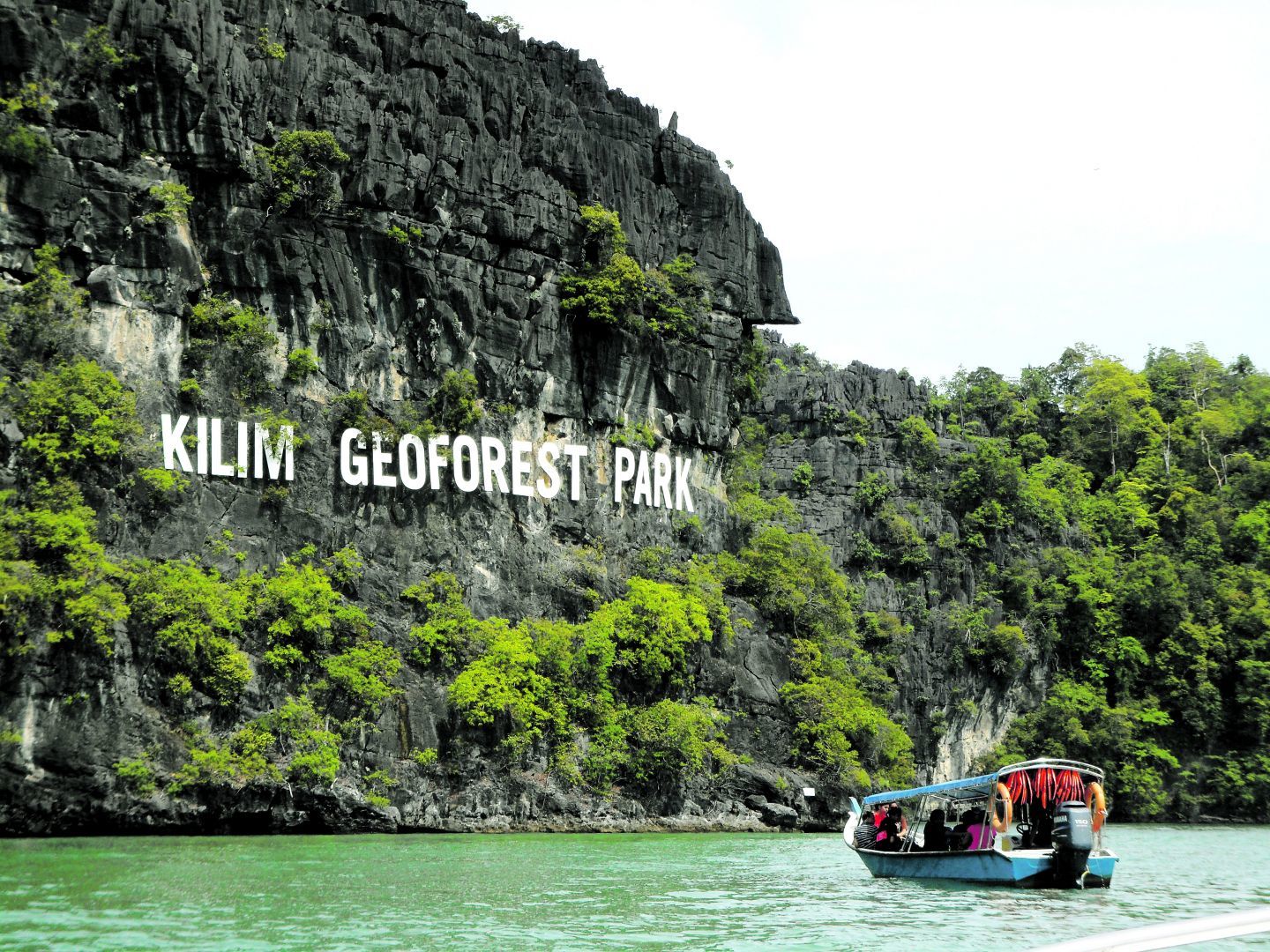 Langkawi: Mangrove Kilim Geoforest Park Tour