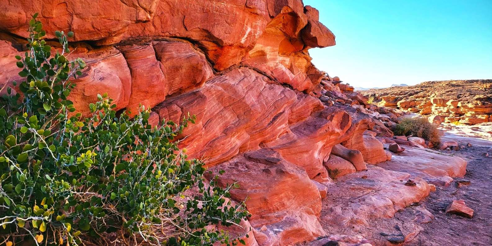 Sharm el-Sheik: Dahab, Red Canyon, and Abu Galum Day Tour