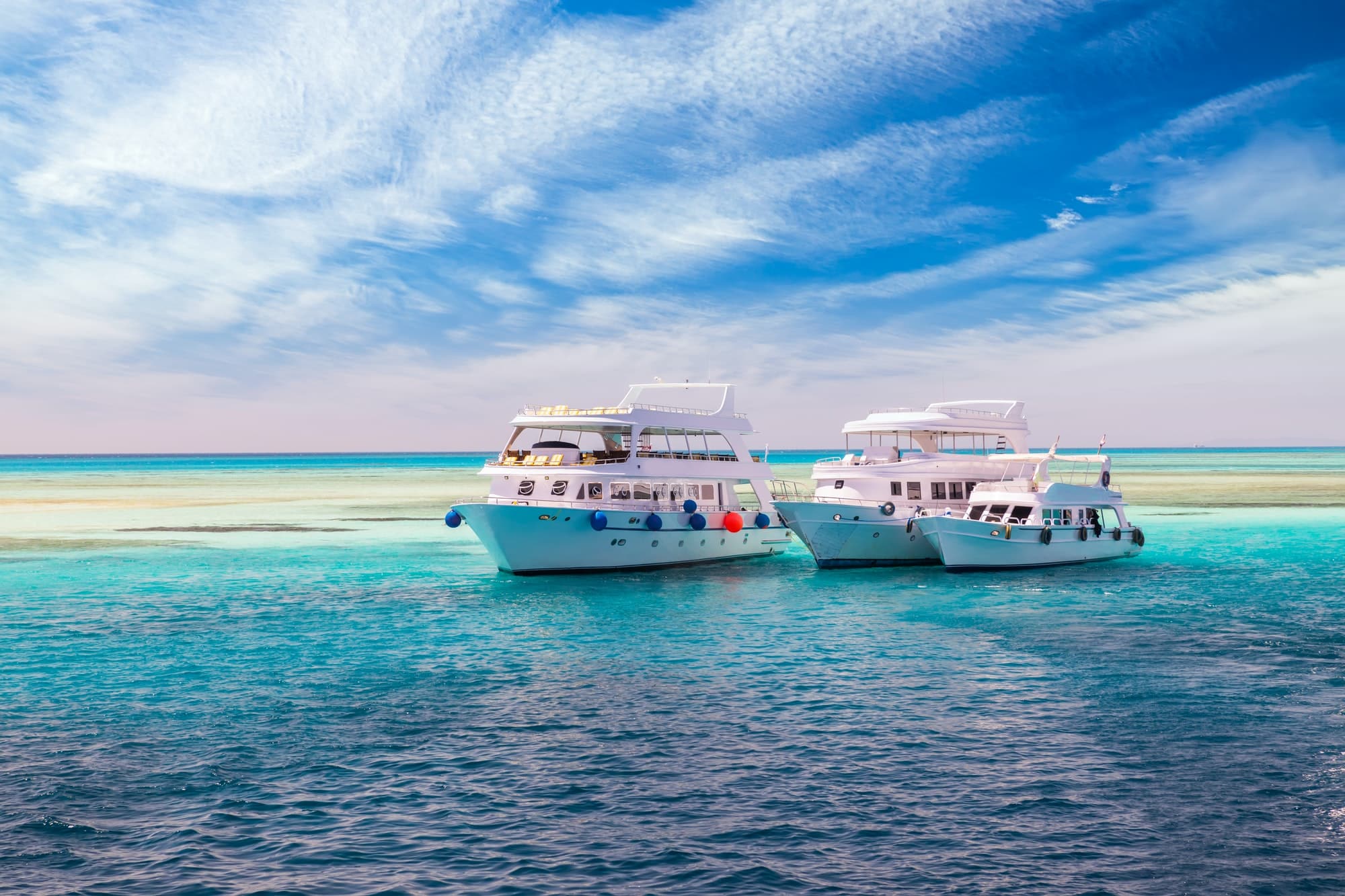 Hurghada: Dolphin Watching Boat Tour
